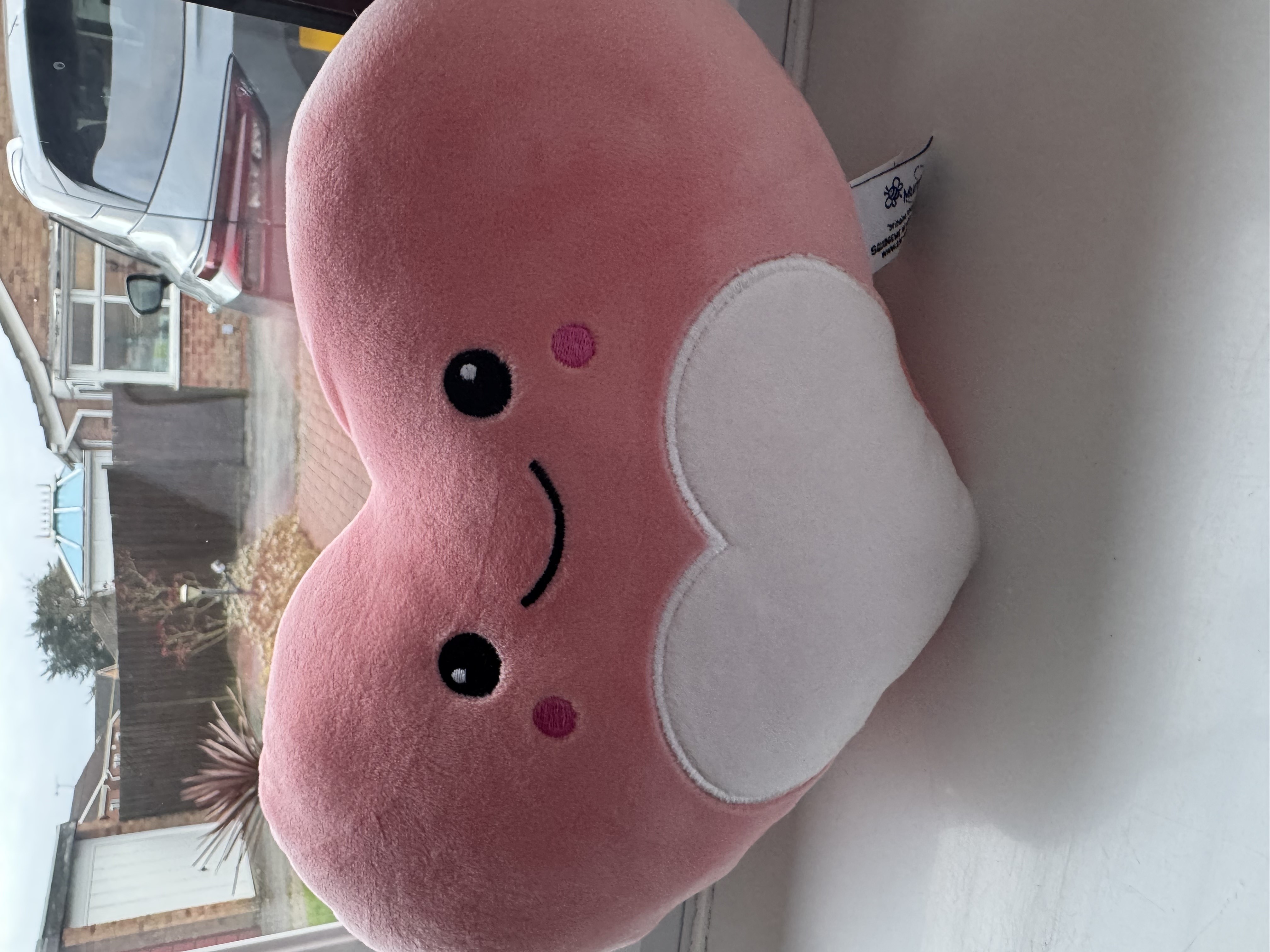 Cute Heart Teddy - ready to be personalised and to find a home